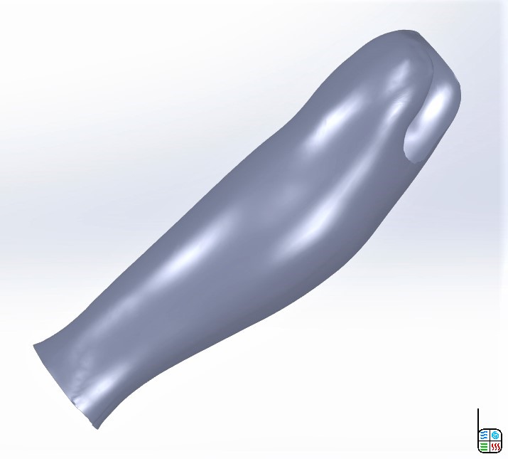 Leg_Prosthesis_Cover_Carbon_Fiber_3D_CAD_Surface_Design